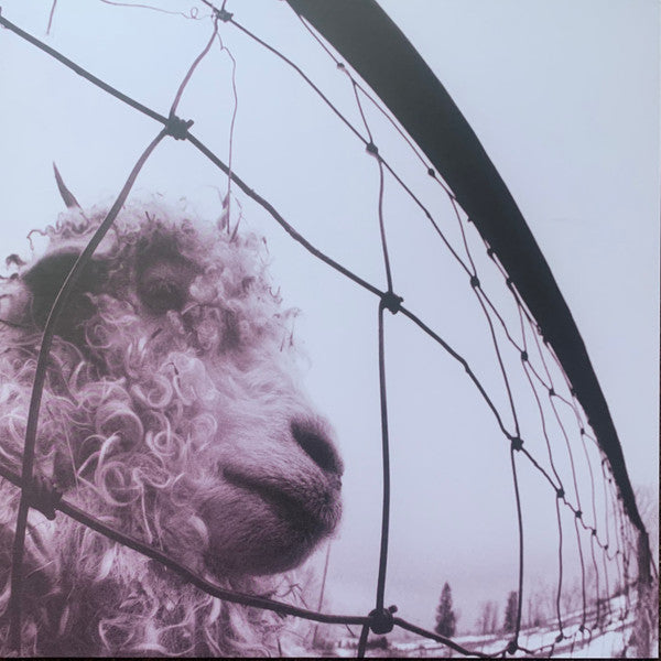 Pearl Jam – Vs. (Vinyle neuf)