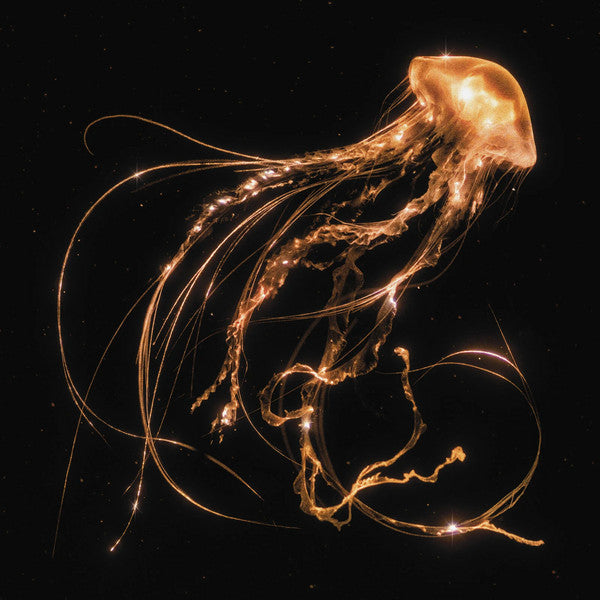 Royal Blood – Back To The Water Below (New Vinyl)