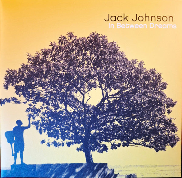 Jack Johnson – In Between Dreams (Vinyle neuf)