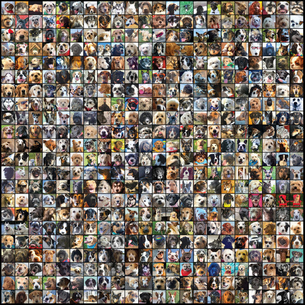 Matt Mays – Dog City (New)