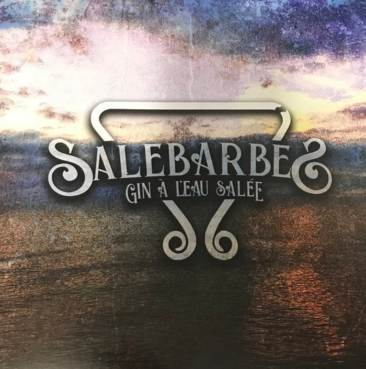 Salebarbes ‎– Gin À L'Eau Salée (Vinyle neuf)