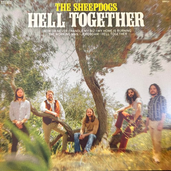 The Sheepdogs ‎– Hell Together (Vinyle neuf)